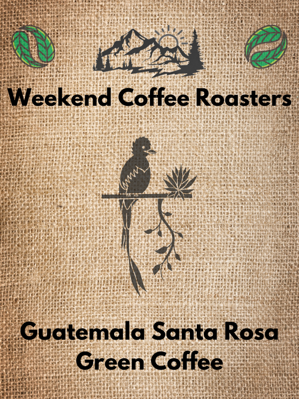 Guatemala: Santa Rosa Green Beans