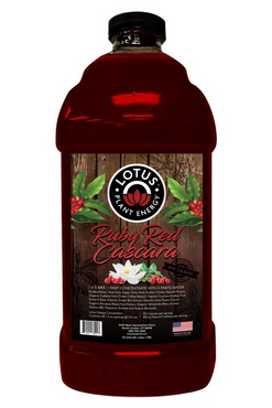 Energy: Ruby Red (64 Oz)