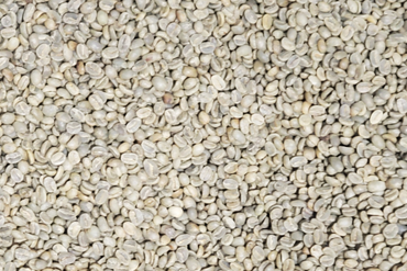 Mexico: Chiapas Green Beans