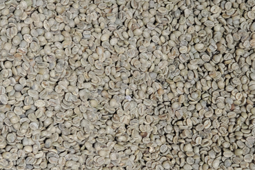 Brazil: Cerrado Green Beans