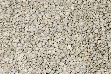 Guatemala: Santa Rosa Green Beans