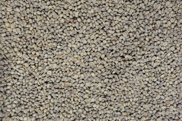 Brazil: Peaberry Green Beans