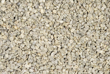 Peru: San Martin Green Beans